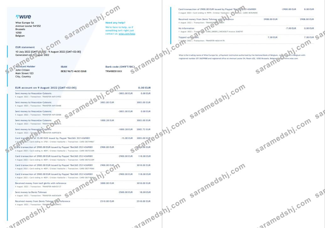 Belgium Wise bank statement